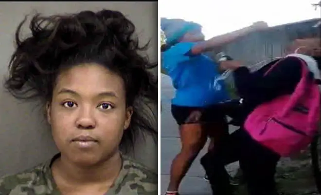 Sharkeisha Now