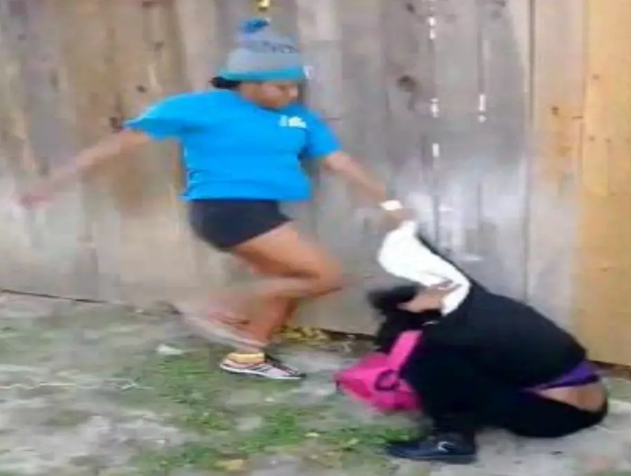 sharkeisha