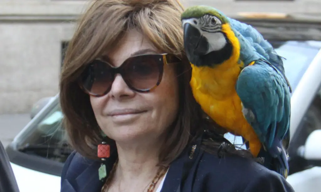 Patrizia Reggiani